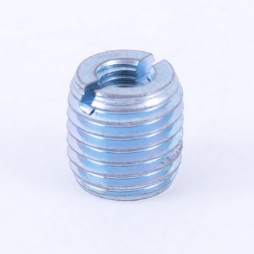 Reusable Fixing Screw