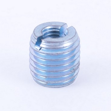 Reusable Fixing Screw